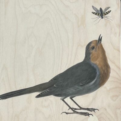 Kruk Metaal Roodborstje