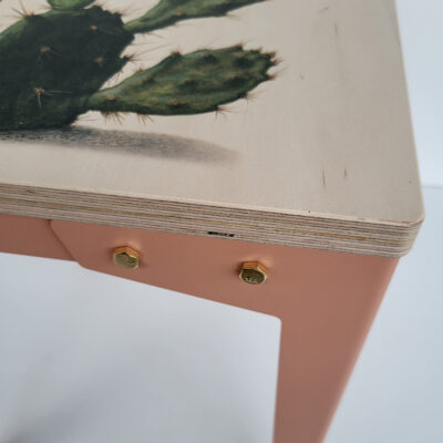 Detail Kruk of Bijzettafel Roze_Cactus