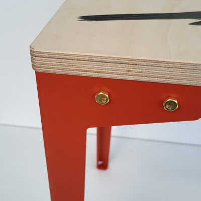 Detail Roodborstje_1