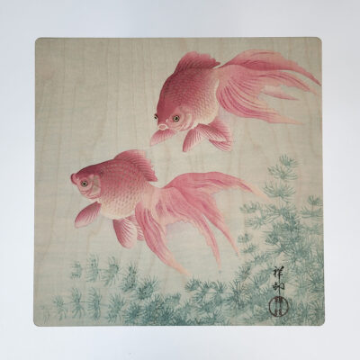 Goudvissen Afbeelding