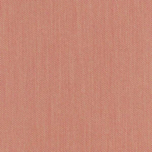 Steelcut trio 3_ 0515