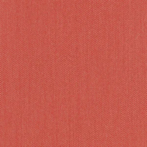 Steelcut trio 3_ 0526