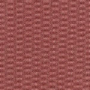 Steelcut trio 3_ 0636