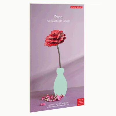 ROSE_PRODUCT-PICTURE