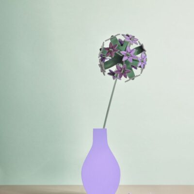 ALLIUM_AMBIENT-PORTRAIT