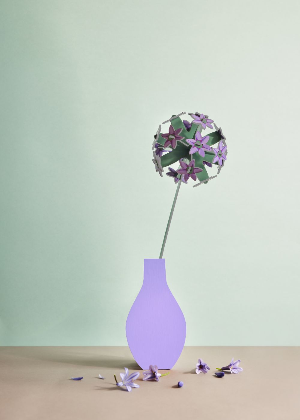 ALLIUM_AMBIENT-PORTRAIT