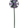 ALLIUM_PRODUCT-PICTURE