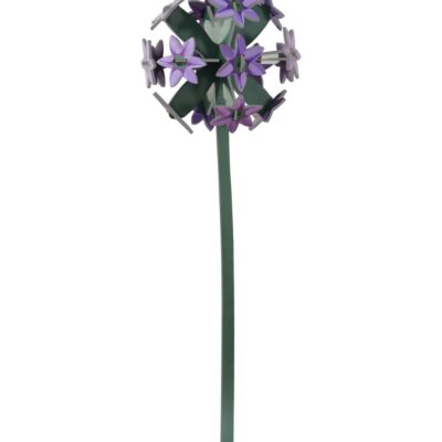 ALLIUM_PRODUCT-PICTURE