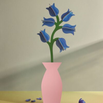 CAMPANULA_AMBIENT-PORTRAIT