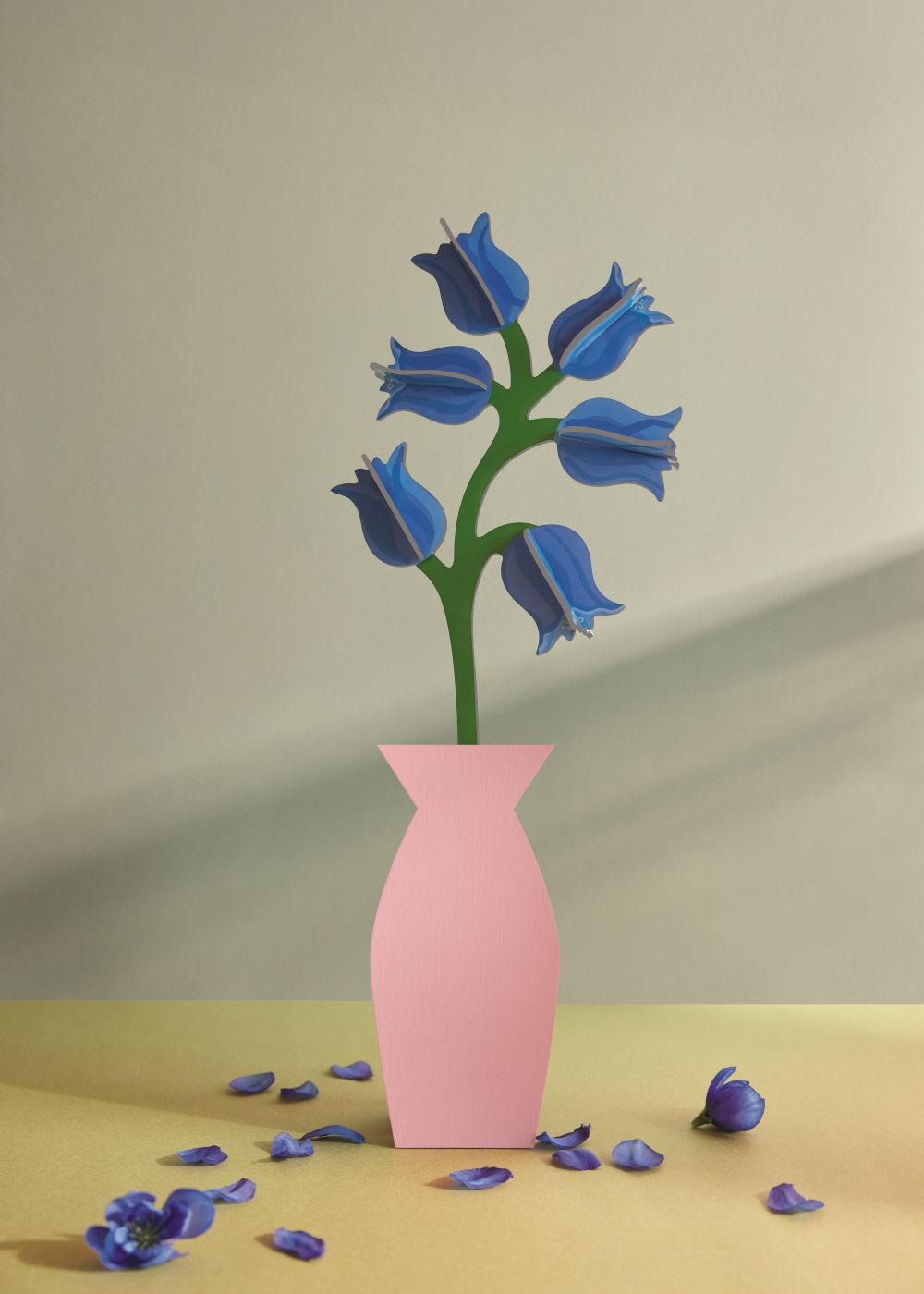 CAMPANULA_AMBIENT-PORTRAIT