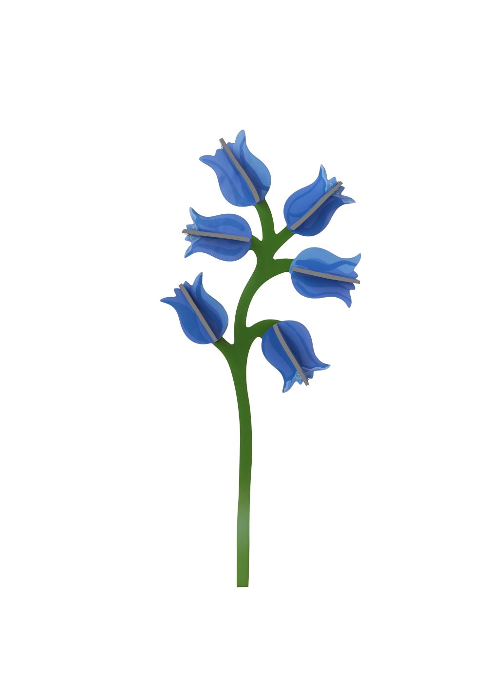 CAMPANULA_PRODUCT-PICTURE