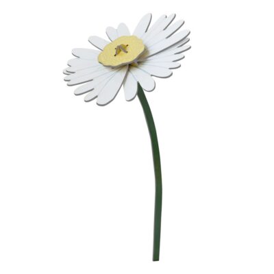 DAISY_PRODUCT-PICTURE