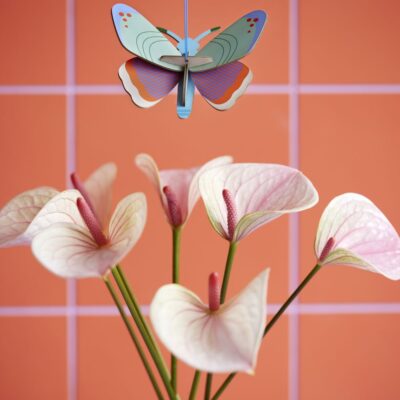 DOTTED-BUTTERFLY_AMBIENT-PORTRAIT