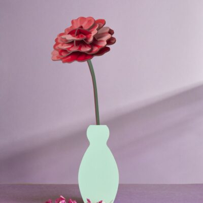 ROSE_AMBIENT-PORTRAIT