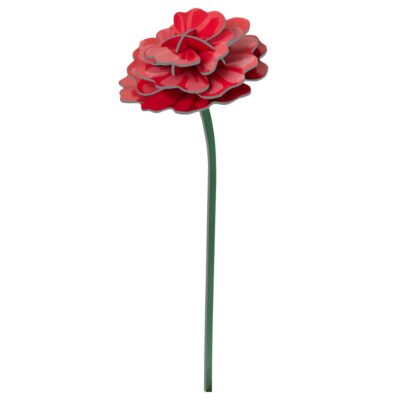 ROSE_PRODUCT-PICTURE