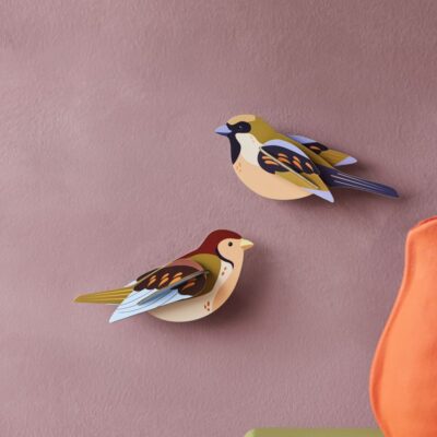 SPARROWS_AMBIENT-PORTRAIT