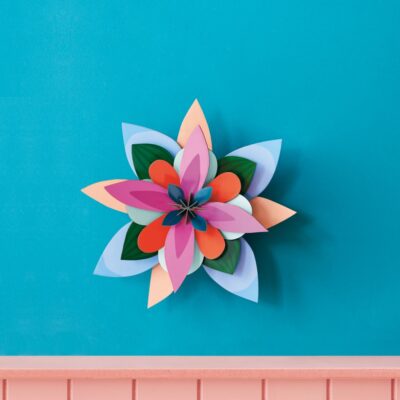 WATERMELON-PUNCH_AMBIENT-PORTRAITMORE-BACKGROUND-1