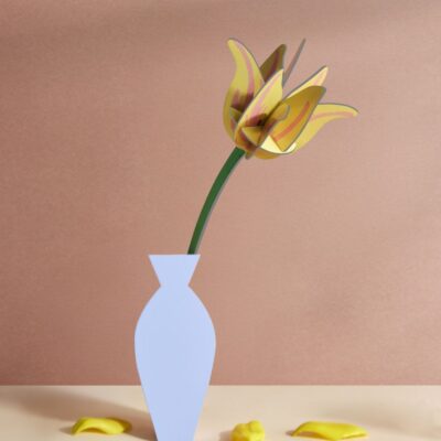 YELLOW-TULIP_AMBIENT-PORTRAIT