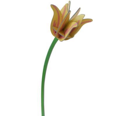 YELLOW-TULIP_PRODUCT-PICTURE