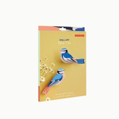 BLUE-TITS-GARDEN-BIRDS_B5-MOCKUP-PACKAGING