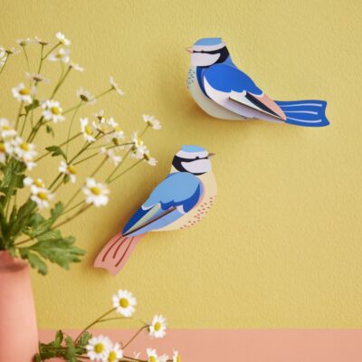 BLUE-TITS_AMBIENT-PORTRAIT