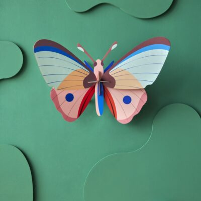 CATTLEHEART-BUTTERFLY_AMBIENT-PORTRAIT-ADD-BACKGROUND (1)