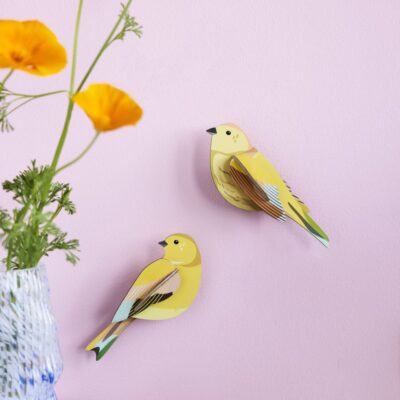 CITRINELLA-PAIR_AMBIENT-PORTRAIT