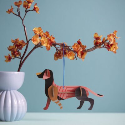 DACHSHUND_AMBIENT-PORTRAIT