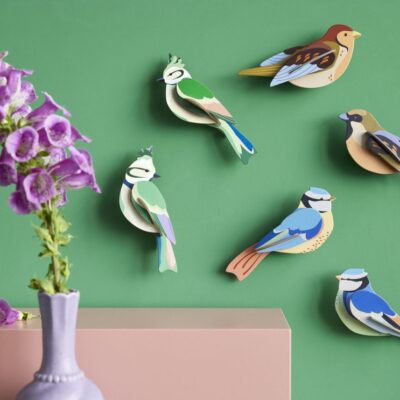 GARDEN-BIRDS-FOREST-CRESTS-SPARROWS-BLUE-TITS_OVERVIEW-AMBIENT-LANDSCAPE