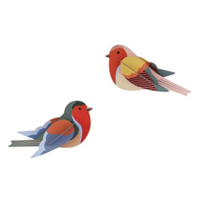 ROBINS_PRODUCT-PICTURE (1)